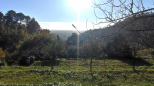 Il Villino nel Colle |  -  - 