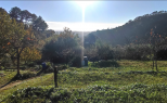 Il Villino nel Colle |  -  - 