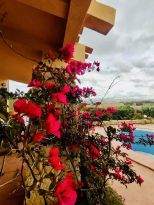 Villa Sole Mare Paradiso |  -  - 