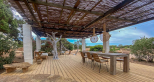 Tenuta Saona |  -  - 