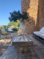Tenuta Saona |  -  - 