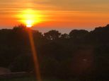 Tenuta Saona |  -  - 