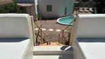 Tenuta Saona |  -  - 