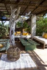 Tenuta Saona |  -  - 