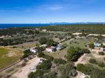 Tenuta Saona |  -  - 
