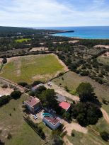 Tenuta Saona |  -  - 