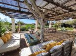 Tenuta Saona |  -  - 