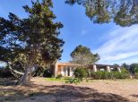 Tenuta Saona |  -  - 