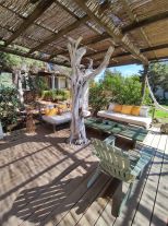 Tenuta Saona |  -  - 