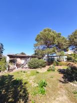 Tenuta Saona |  -  - 