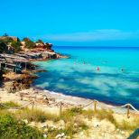 Tenuta Saona |  -  - 