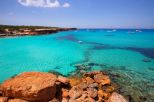 Tenuta Saona |  -  - 