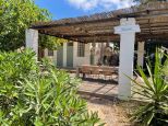 Tenuta Saona |  -  - 