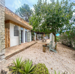 Tenuta Saona |  -  - 