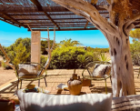 Tenuta Saona |  -  - 