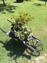 La Casa dei Fiori Sarzana |  -  - 