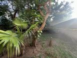Villa L' Isola dell' Amore | Watamu - Huizen en villa's - Kenya & Zanzibar