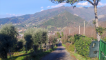 Il Rustico nel Colle |  -  - 