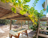 Tenuta La Mola  |  -  - 