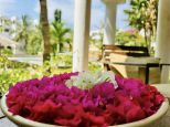 Wohnung Beverly Suites Malindi | Malindi - Apartments - Kenya & Zanzibar