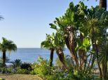 La Grande Bellezza |  -  - 