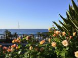 La Grande Bellezza |  -  - 