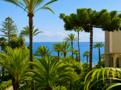 La Grande Bellezza |  -  - 
