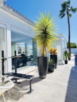 Villa La Luce dell'Isola |  -  - 