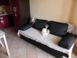 Sogno Buggerru |  -  - 