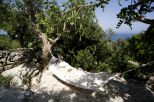 La Villa del Capo |  -  - 