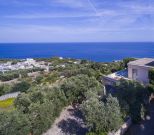 La Villa del Capo |  -  - 