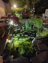 Villetta Cala Violina |  -  - 