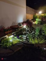 Villetta Cala Violina |  -  - 