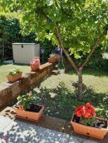 Villetta Cala Violina |  -  - 