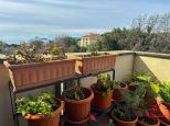 La Casa degli Ulivi |  -  - 