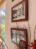 La Casa degli Ulivi |  -  - 