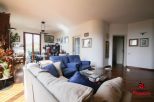 La Casa degli Ulivi |  -  - 