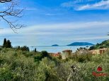 La Casa degli Ulivi |  -  - 