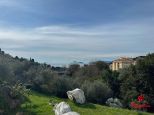 La Casa degli Ulivi |  -  - 