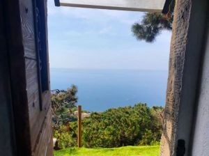Il Rustico del Vignaiolo |  -  - 