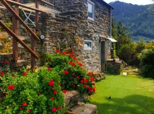 Il Rustico del Vignaiolo |  -  - 