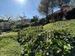 Villa Caterina |  -  - 