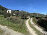 Villa Caterina |  -  - 