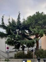 Appartamento Beausoleil |  -  - 