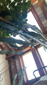 La Casa degli Artisti |  -  - 