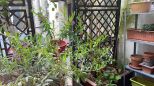 La Casa degli Artisti |  -  - 