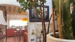 La Casa degli Artisti |  -  - 