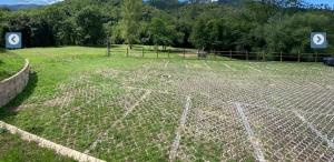 Appartamento del Borgo Ligure |  -  - 