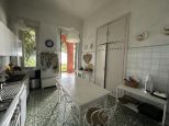 Villa il Pitosforo |  -  - 