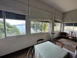 Villa il Pitosforo |  -  - 